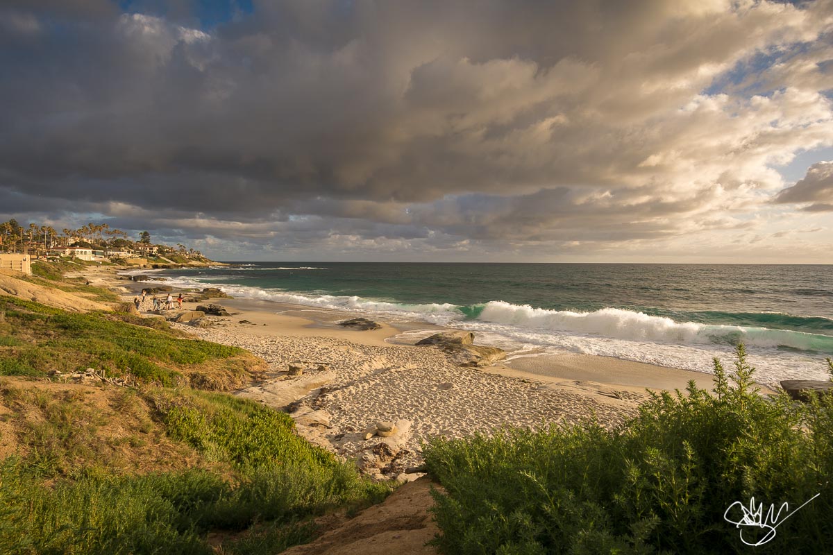 Windansea Beach